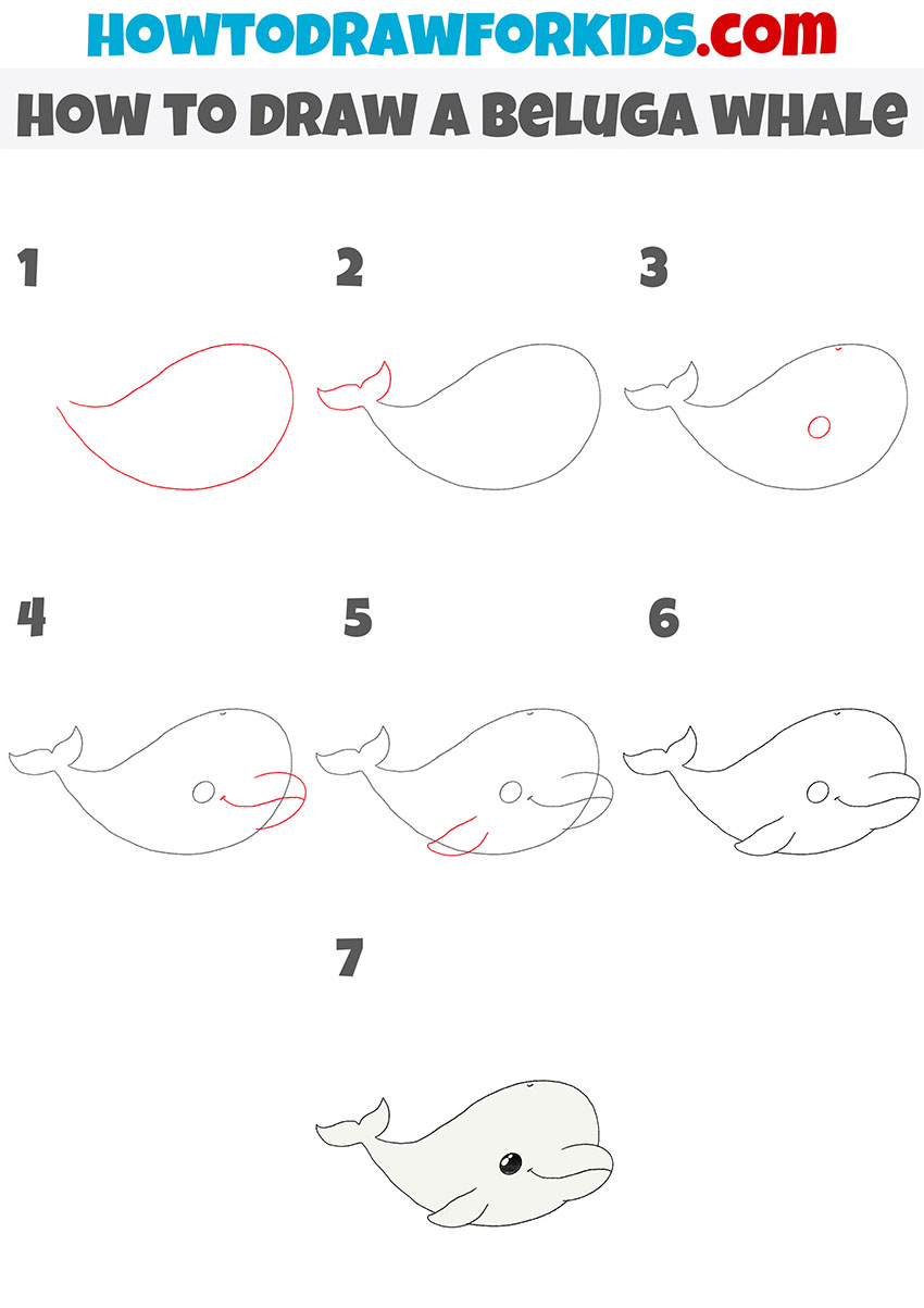 how to draw a beluga whale step by step