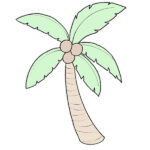 How to Draw a Coconut Tree