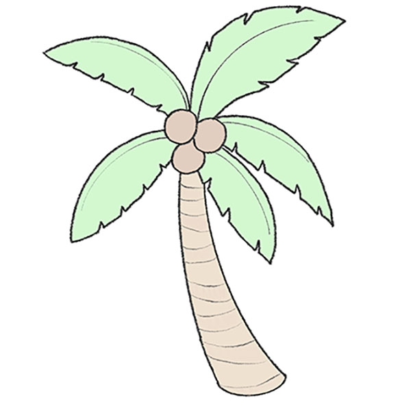 How to Draw a Coconut Tree - Easy Drawing Tutorial For Kids-saigonsouth.com.vn