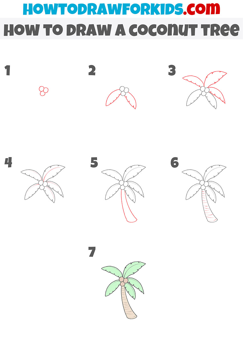 how to draw a coconut tree step by step