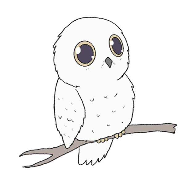 cute owl face drawing