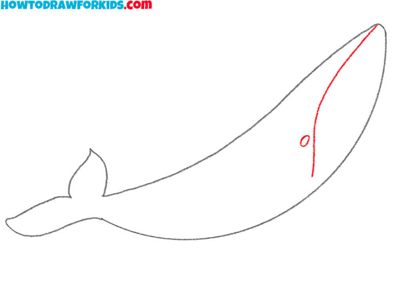 How To Draw A Humpback Whale - Easy Drawing Tutorial For Kids