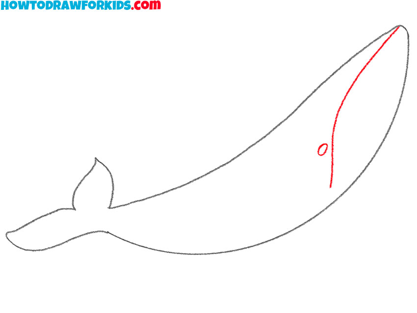 how to draw a humpback whale art hub