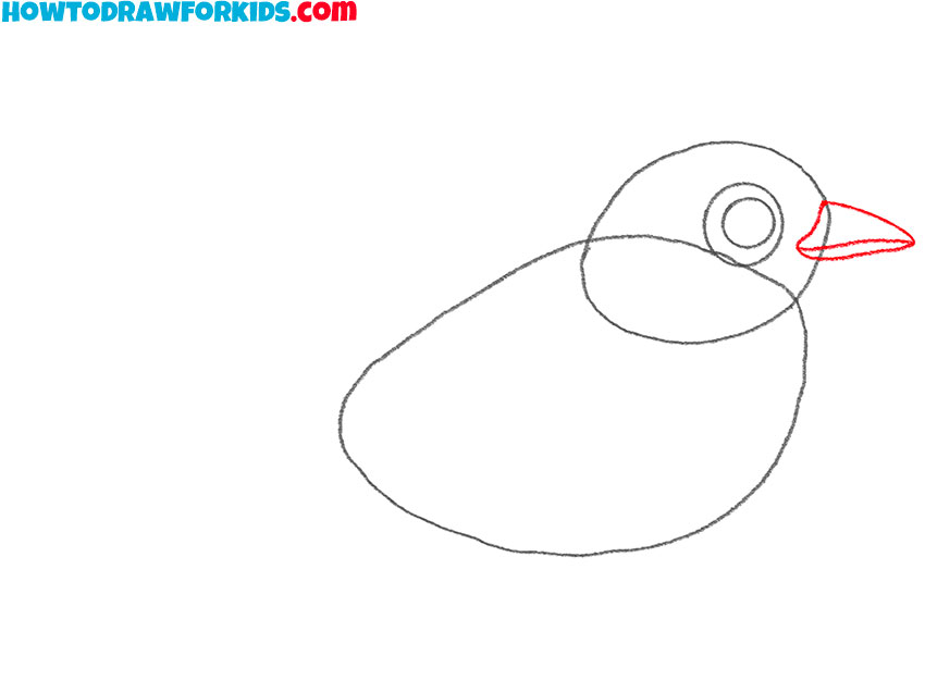 how to draw a mockingbird for kids
