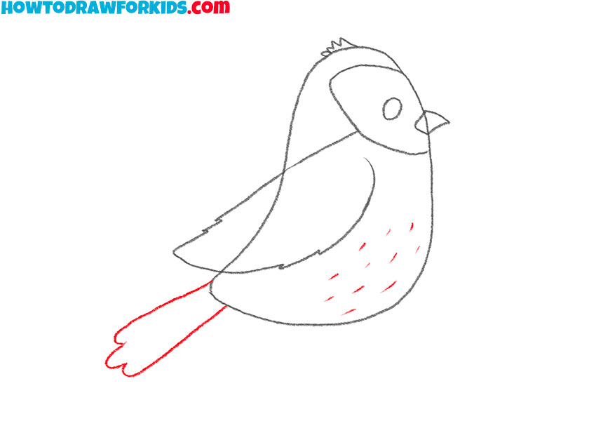 how to draw a simple sparrow