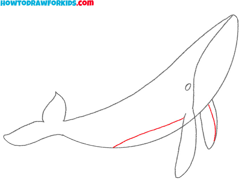 humpback whale drawing tutorial
