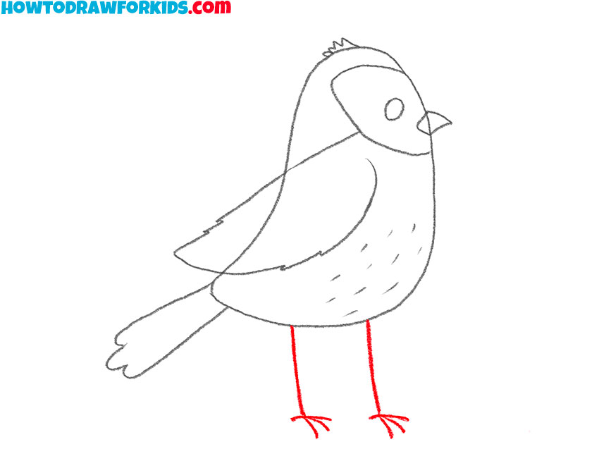 6 how to draw a cute sparrow