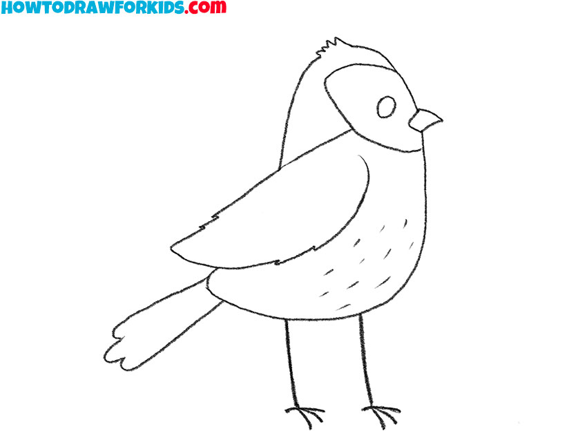 how to draw a cartoon sparrow