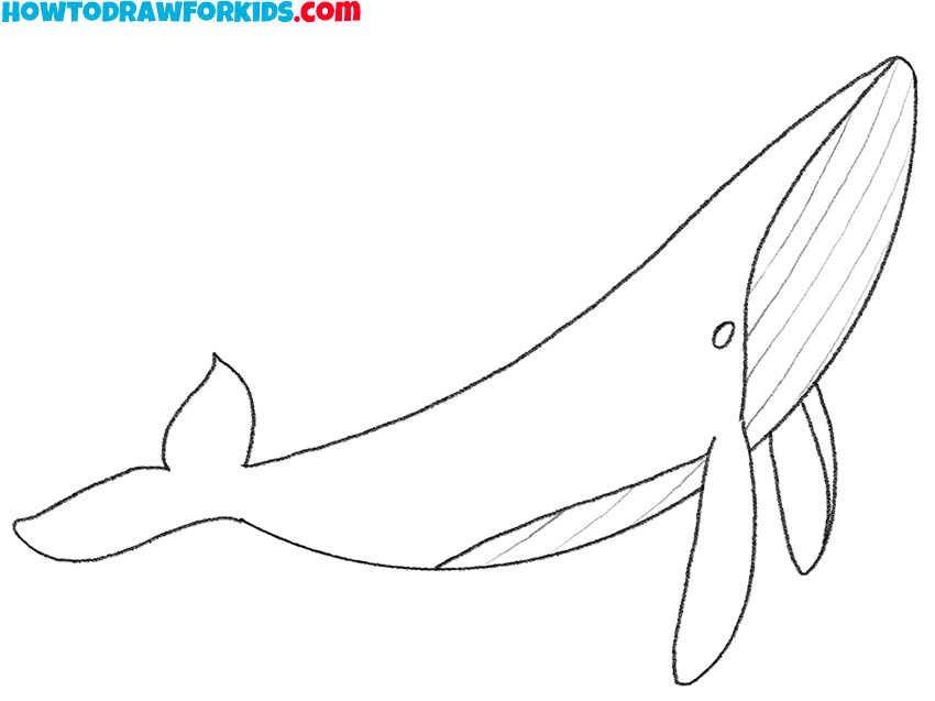 simple humpback whale drawing