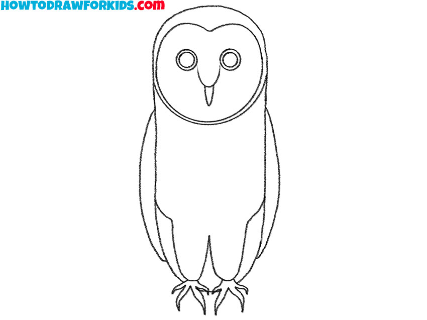 how to draw a cute barn owl