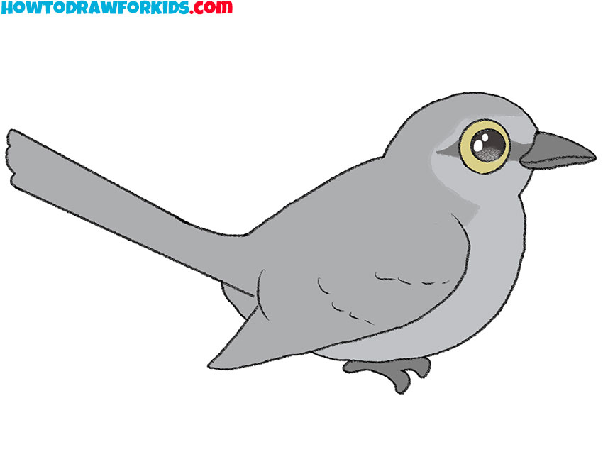 mockingbird drawing guide
