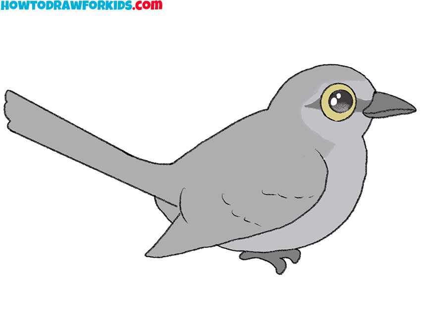 How to Draw a Mockingbird Easy Drawing Tutorial For Kids