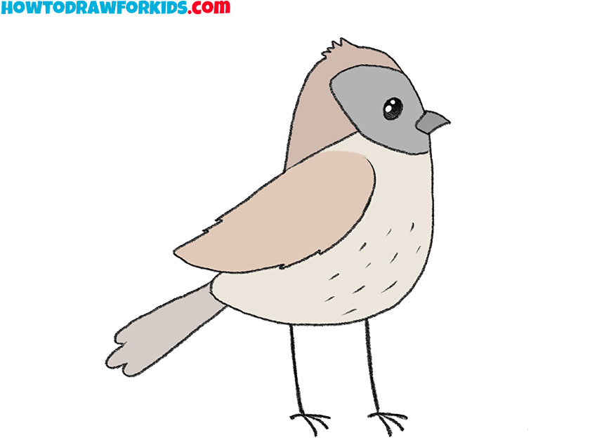 How to Draw a House Sparrow