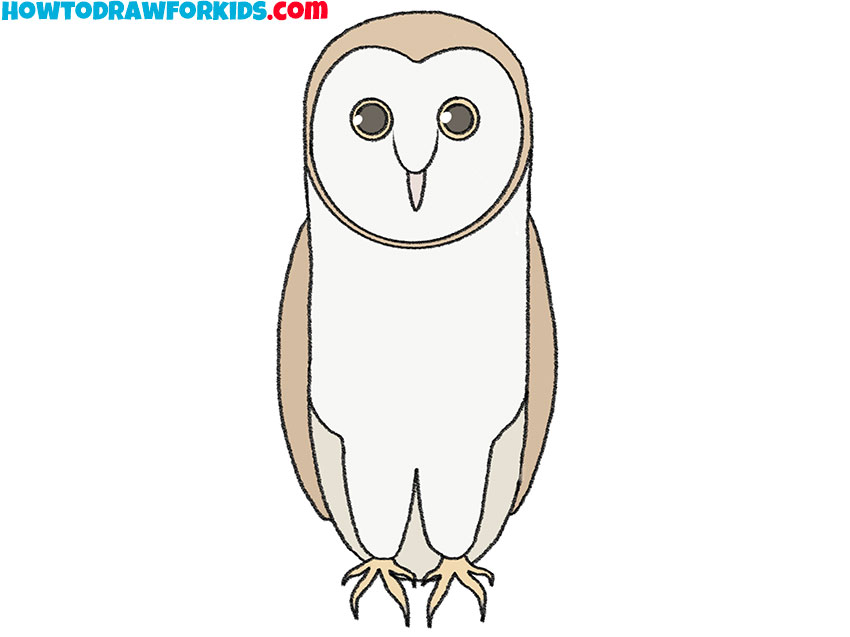 How to Draw a Barn Owl Easy Drawing Tutorial For Kids