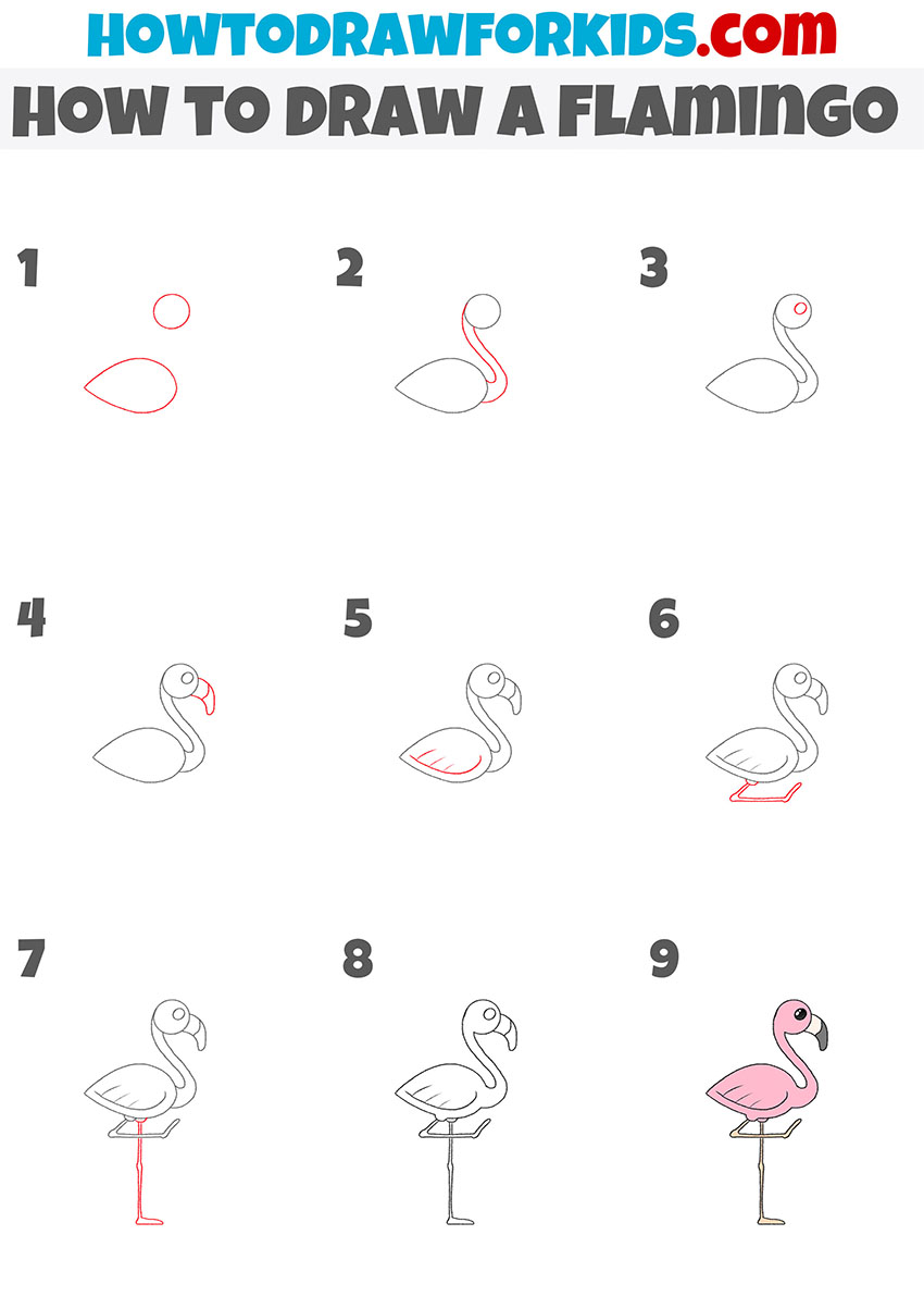 how to draw a Flamingo step by step