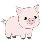 How to Draw a Baby Pig