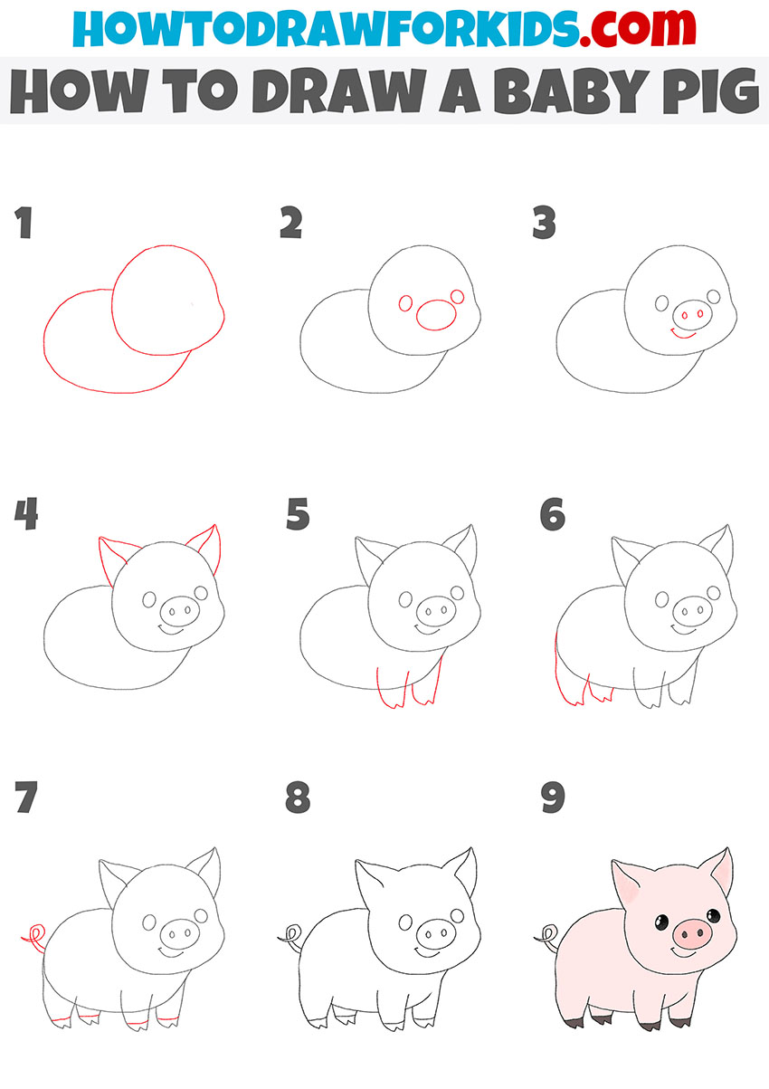 how to draw a baby pig step by step