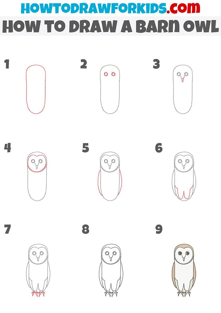 how to draw a barn owl step by step