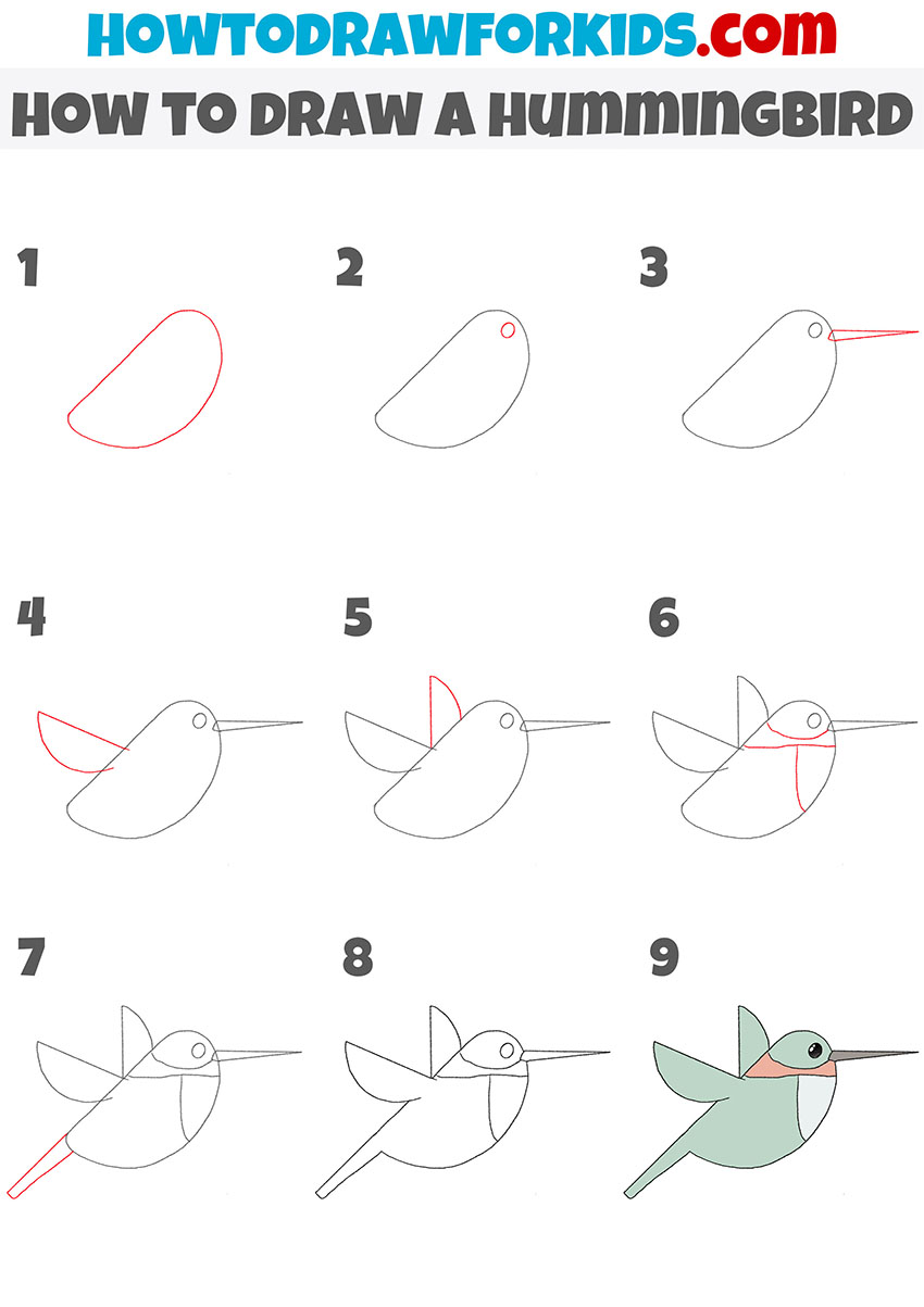 how to draw a hummingbird step by step