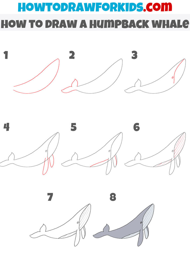 How to Draw a Humpback Whale Easy Drawing Tutorial For Kids