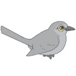 How to Draw a Mockingbird