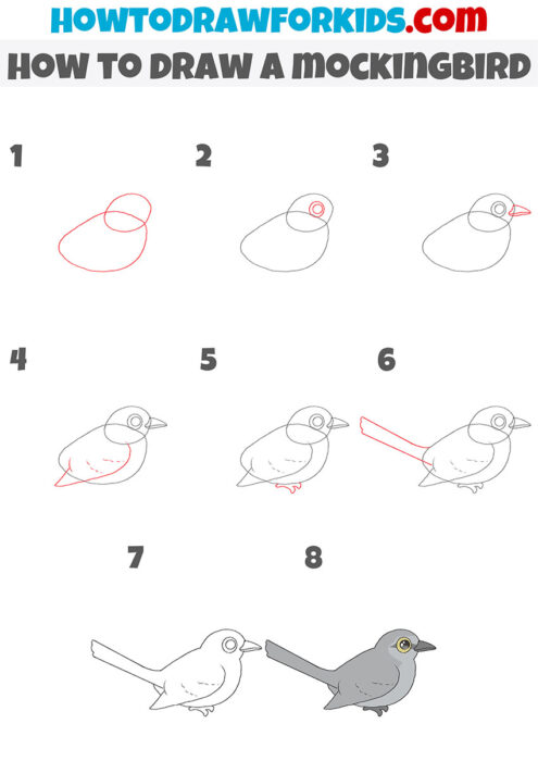 How to Draw a Mockingbird - Easy Drawing Tutorial For Kids