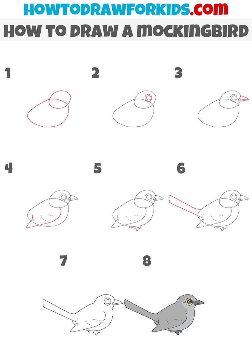 how to draw a mockingbird step by step