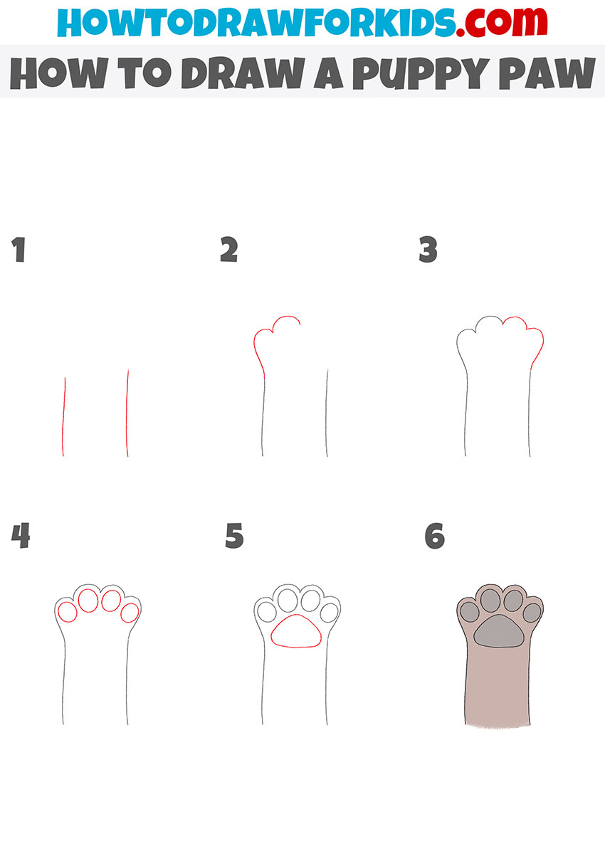 how to draw a puppy paw step by step
