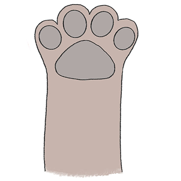 How to Draw a Puppy Paw