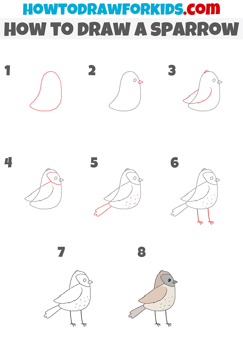 how to draw a sparrow step by step