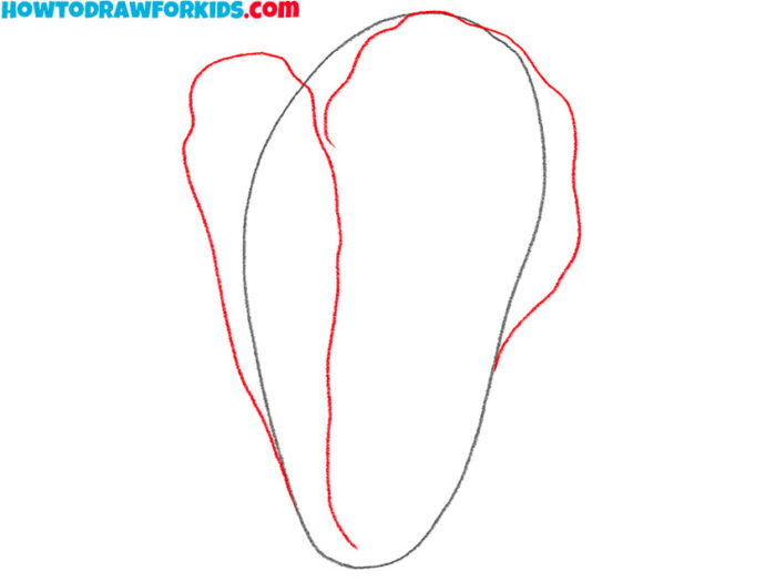 How to Draw a Lettuce Easy Drawing Tutorial For Kids