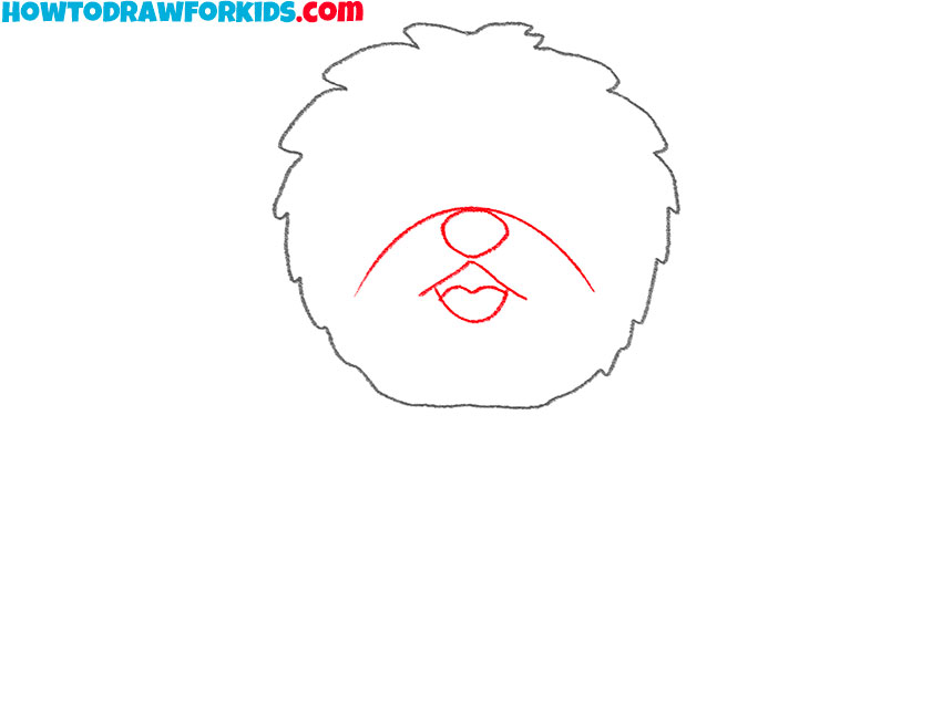 how to draw a shih tzu face easy