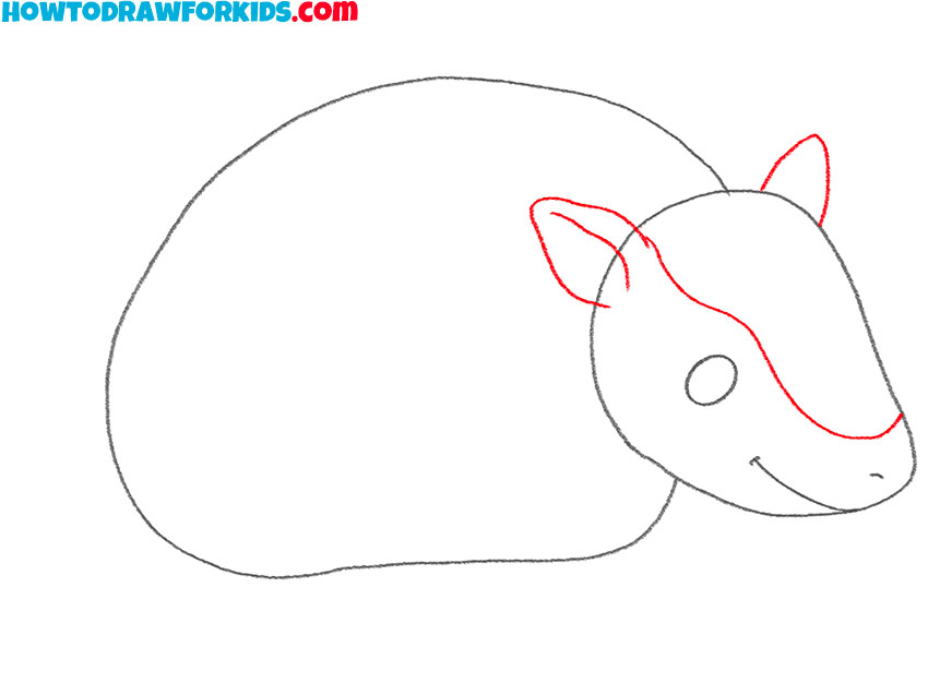 how to draw a cute armadillo