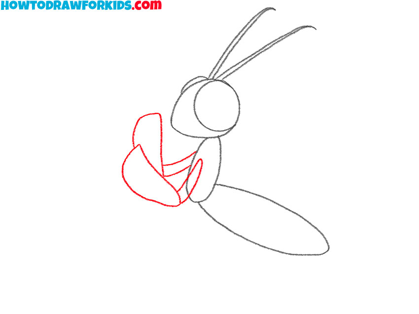 how to draw a realistic praying mantis