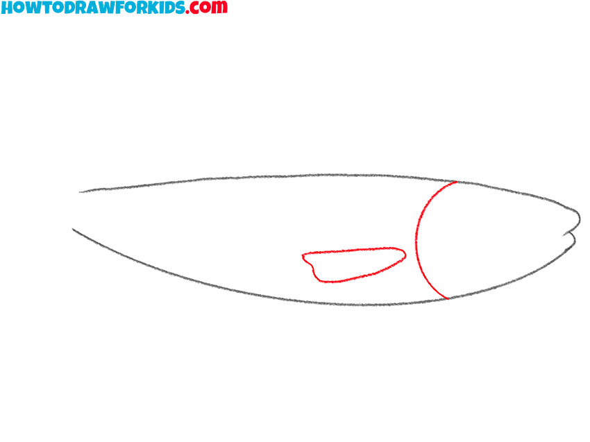 how to draw a salmon fish easy