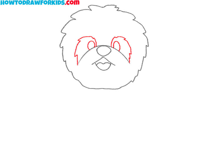 How to Draw a Shih Tzu Easy Drawing Tutorial For Kids