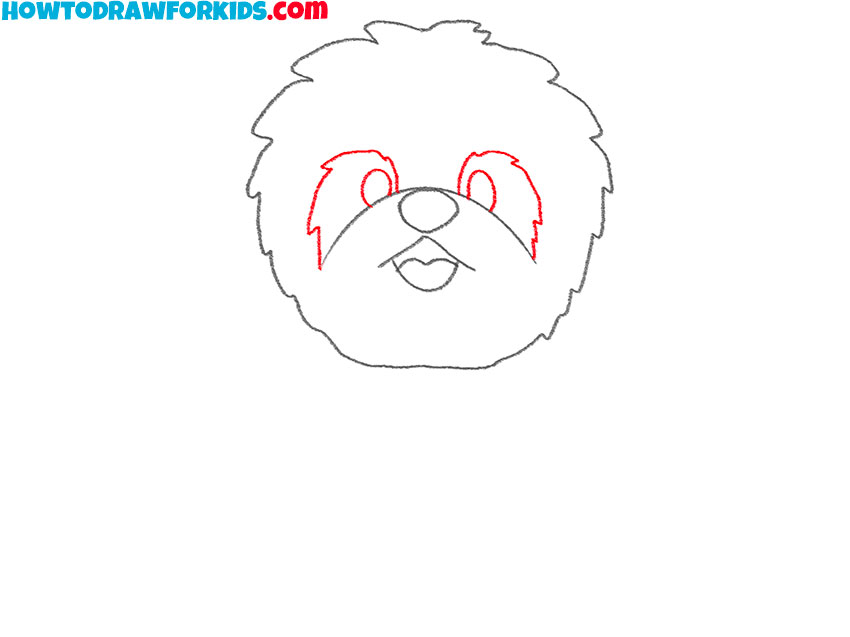 how to draw a shih tzu dog easy