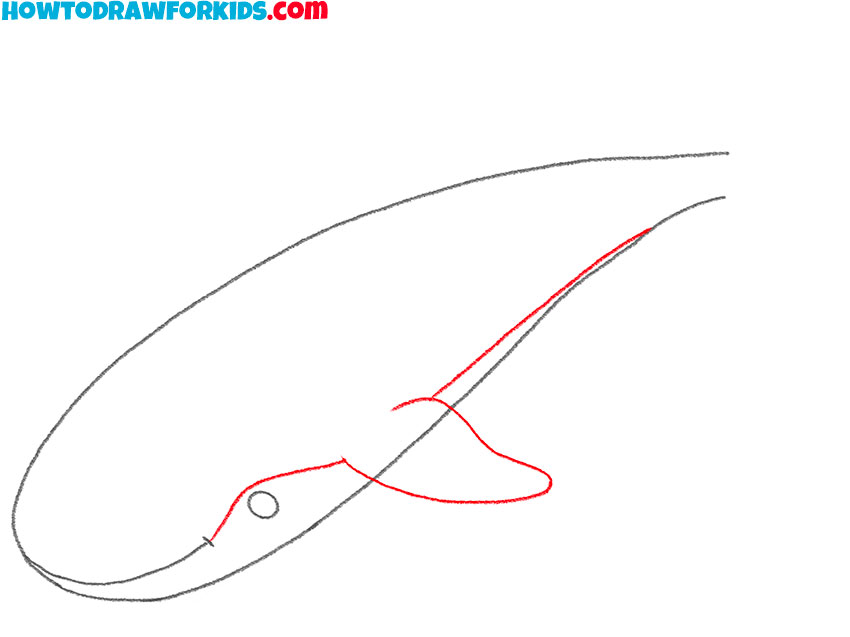 how to draw a whale shark cute