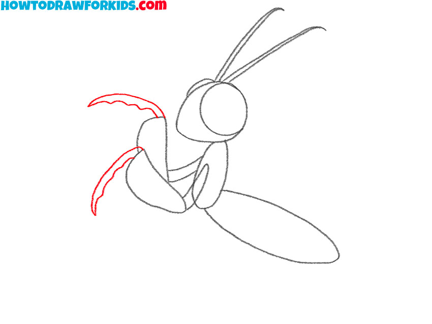 how to draw a cartoon praying mantis