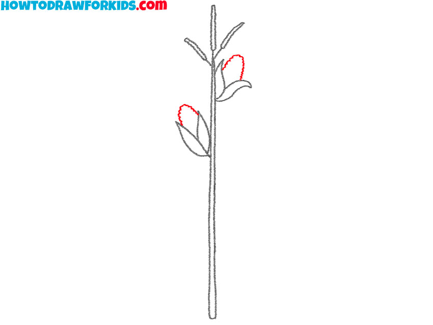 how to draw a corn stalk for kids