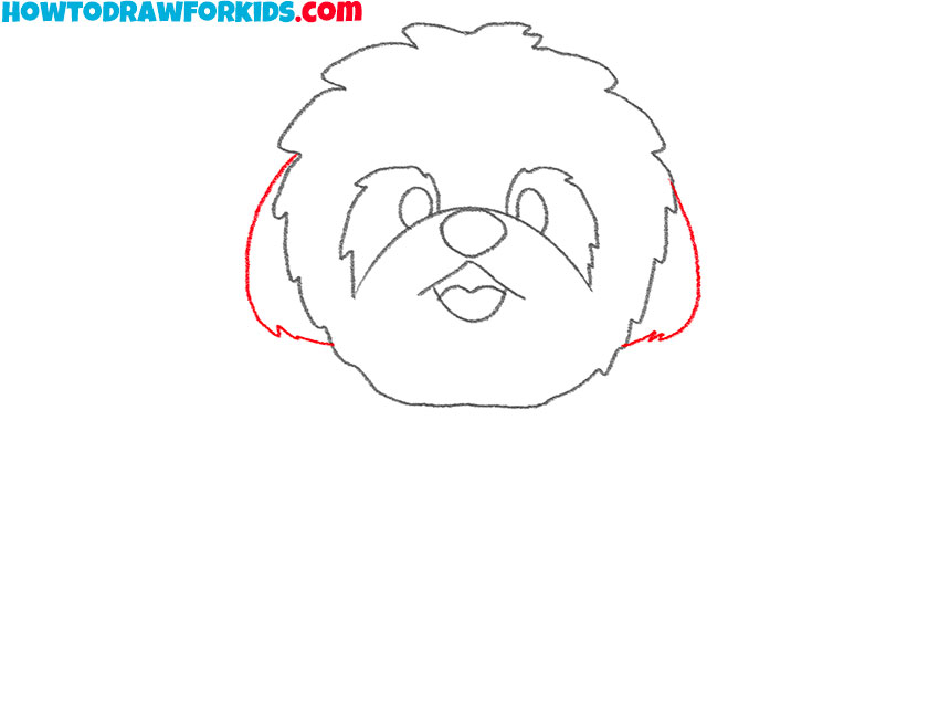 how to draw a cute shih tzu puppy
