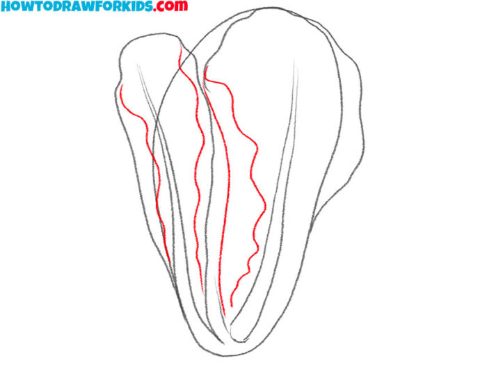 How to Draw a Lettuce Easy Drawing Tutorial For Kids