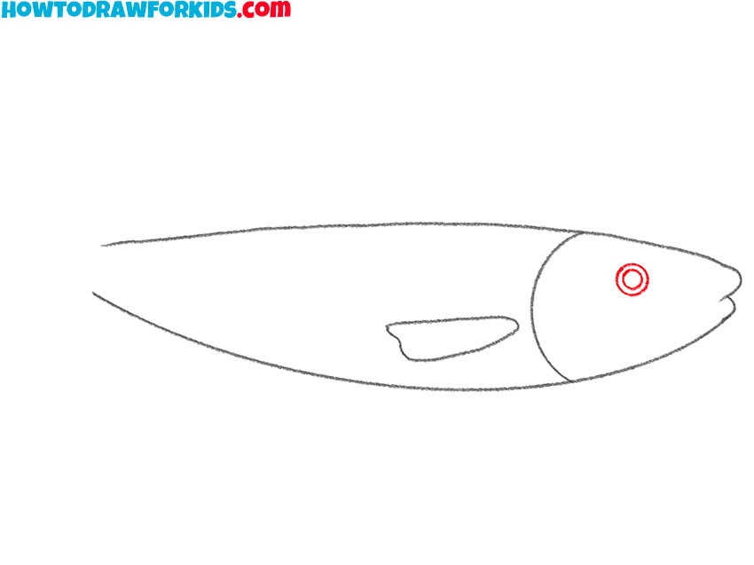 how to draw a salmon cartoon