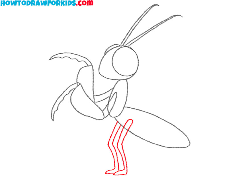 how to draw a cute praying mantis