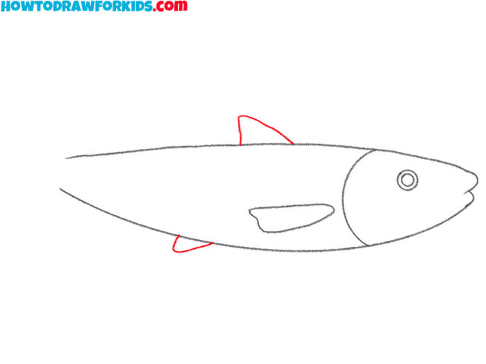 How to Draw a Salmon Easy Drawing Tutorial For Kids
