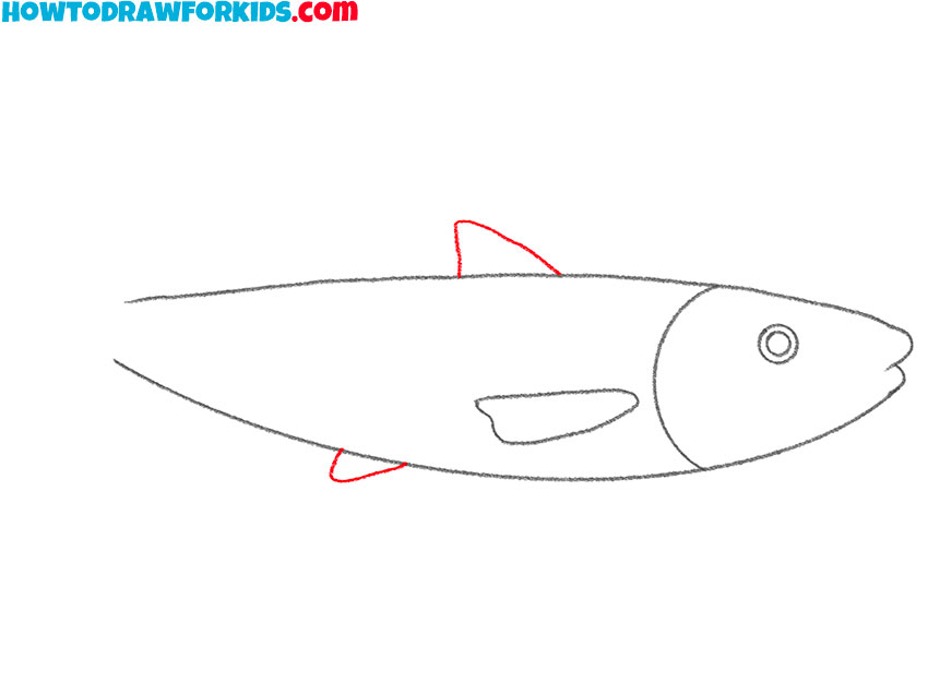 how to draw a cute salmon