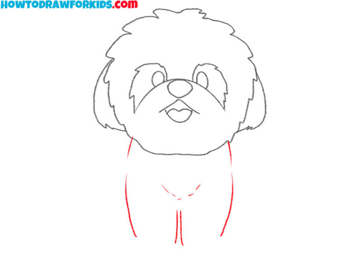 How to Draw a Shih Tzu - Easy Drawing Tutorial For Kids