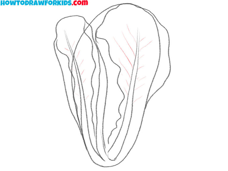 How to Draw a Lettuce Easy Drawing Tutorial For Kids