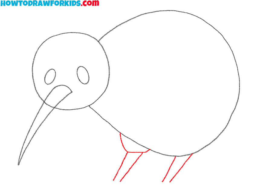 how to draw an easy kiwi bird