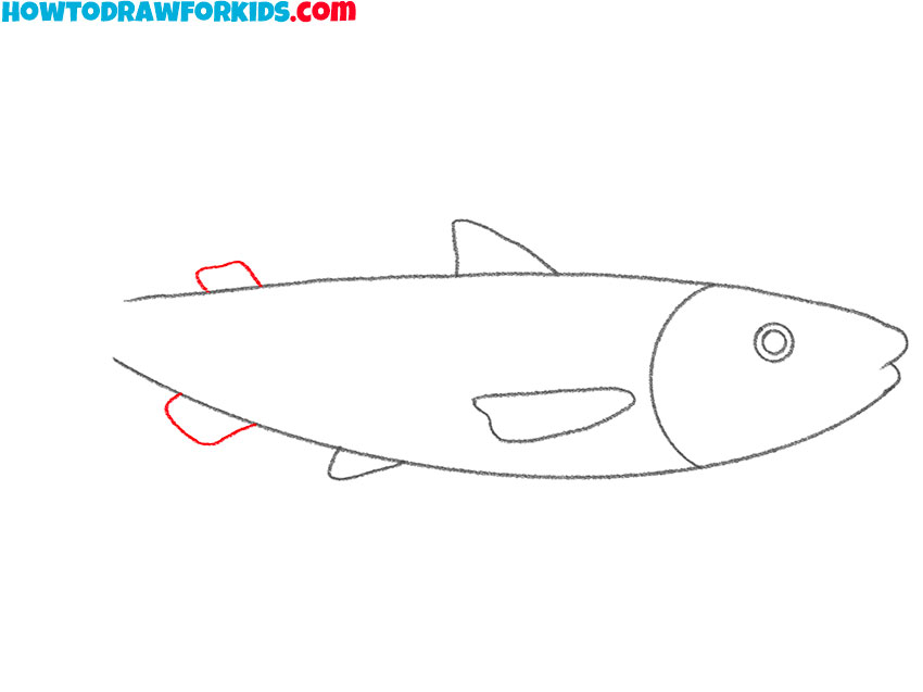 how to draw a cartoon salmon